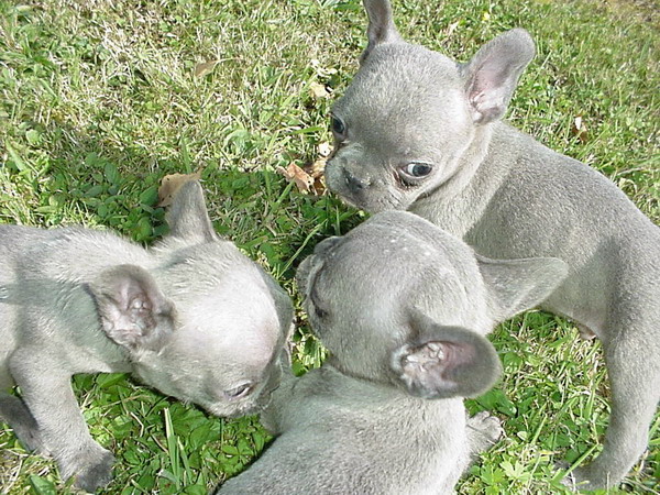 Image Image